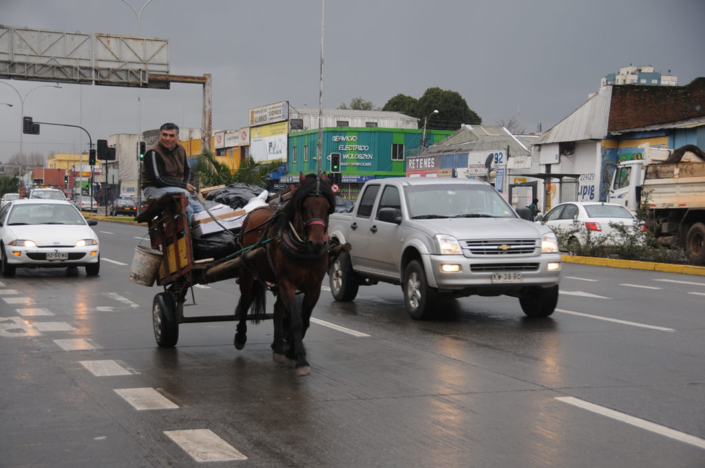 wagon-on-highway-horse